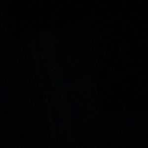 Meet your Posher, Larry